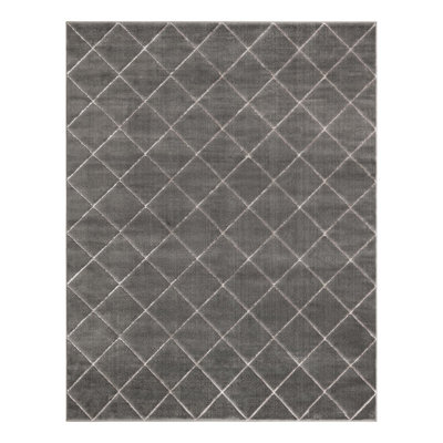 Tapis à carreaux gris et argent Latitude Run® Novica