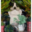 Statue grenouille Puryear-1533750271