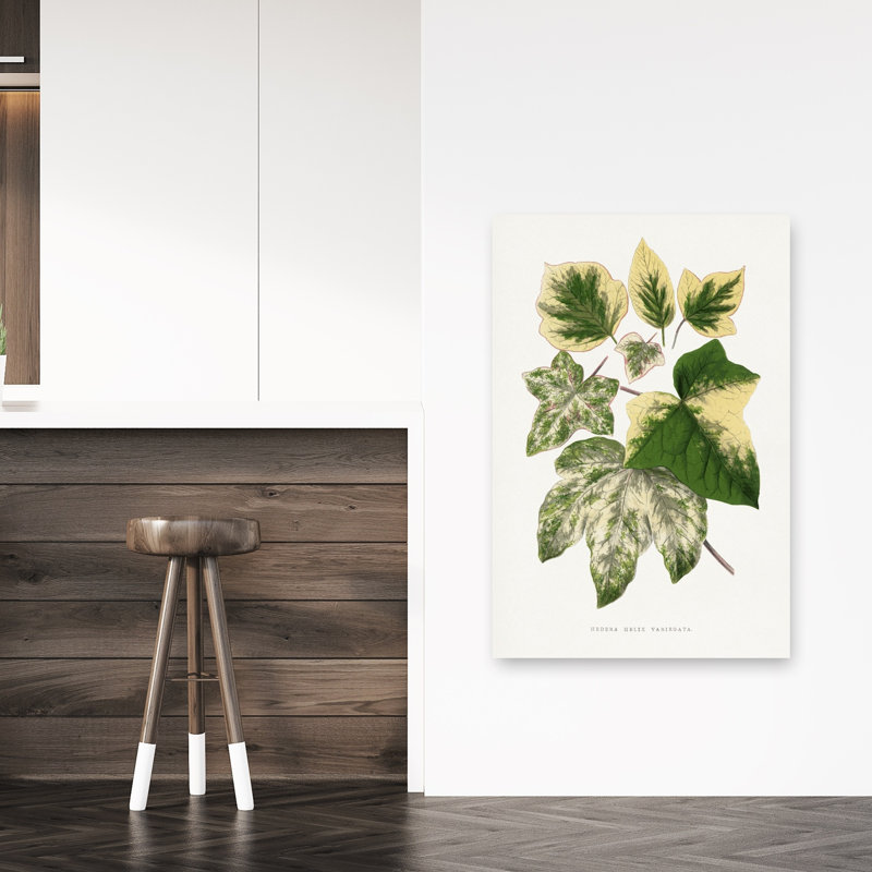 «Green Leaf Illustration Abstract Retro Vintage Flower Landscape», reproduction d'art mural, 48" H x 32" W