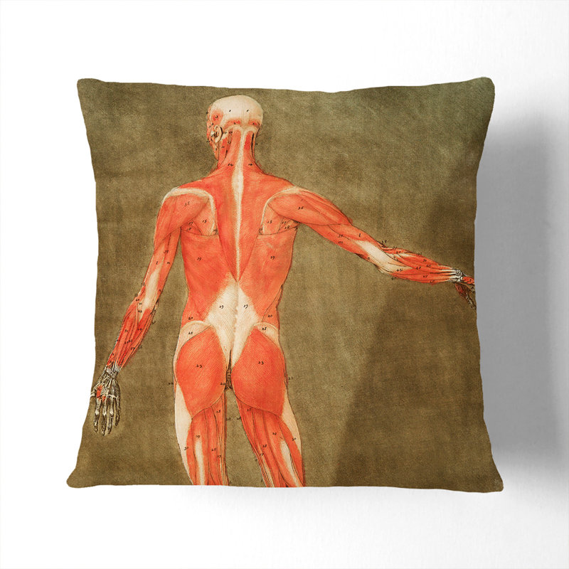 Square Cushion, 55cm H x 55cm W x 20cm D