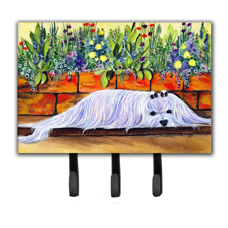 3 - Hook Wall Mounted Coat Rack