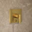Honesty Rite-Temp Showering Kit 2.5 GPM-363004060