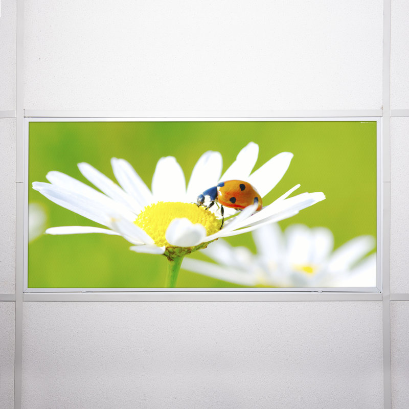 Octo Lights - Fluorescent Light Covers - Flexible Decorative Light Diffuser Panels - Flower - For Classrooms And Offices - Flower 002