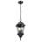 Francesca Lane 3 - Light Outdoor Hanging Lantern-24028046