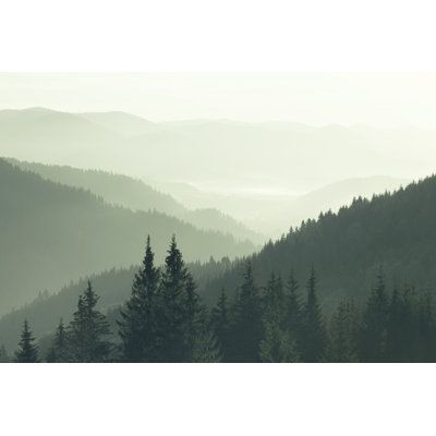 Montagnes couvertes de bois - Photographie sur toile tendue