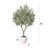 Adcock 96"H Artificial Olive Tree with Planter