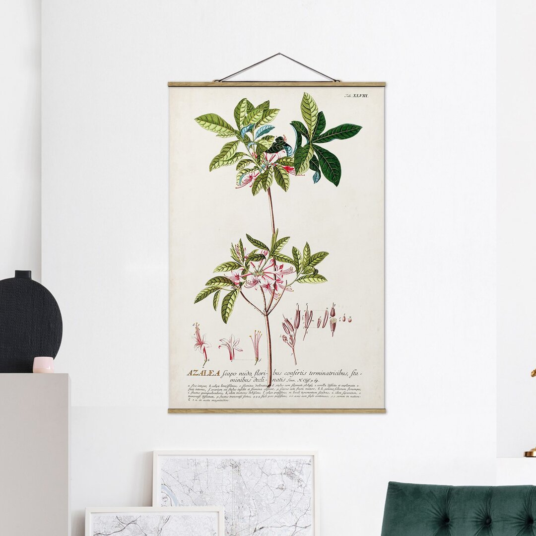 Stoffbild Vintage Botany Illustration Azalea