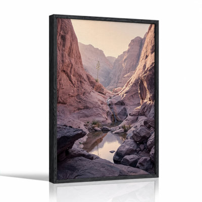 Pink Sandstone Canyon Stream With Tall Desert Plant Canvas Wall Art