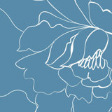 Flower Sketch Floral Wallpaper by Jamie Graney