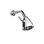 Eight Jet Brunswick Adjustable Shower Head