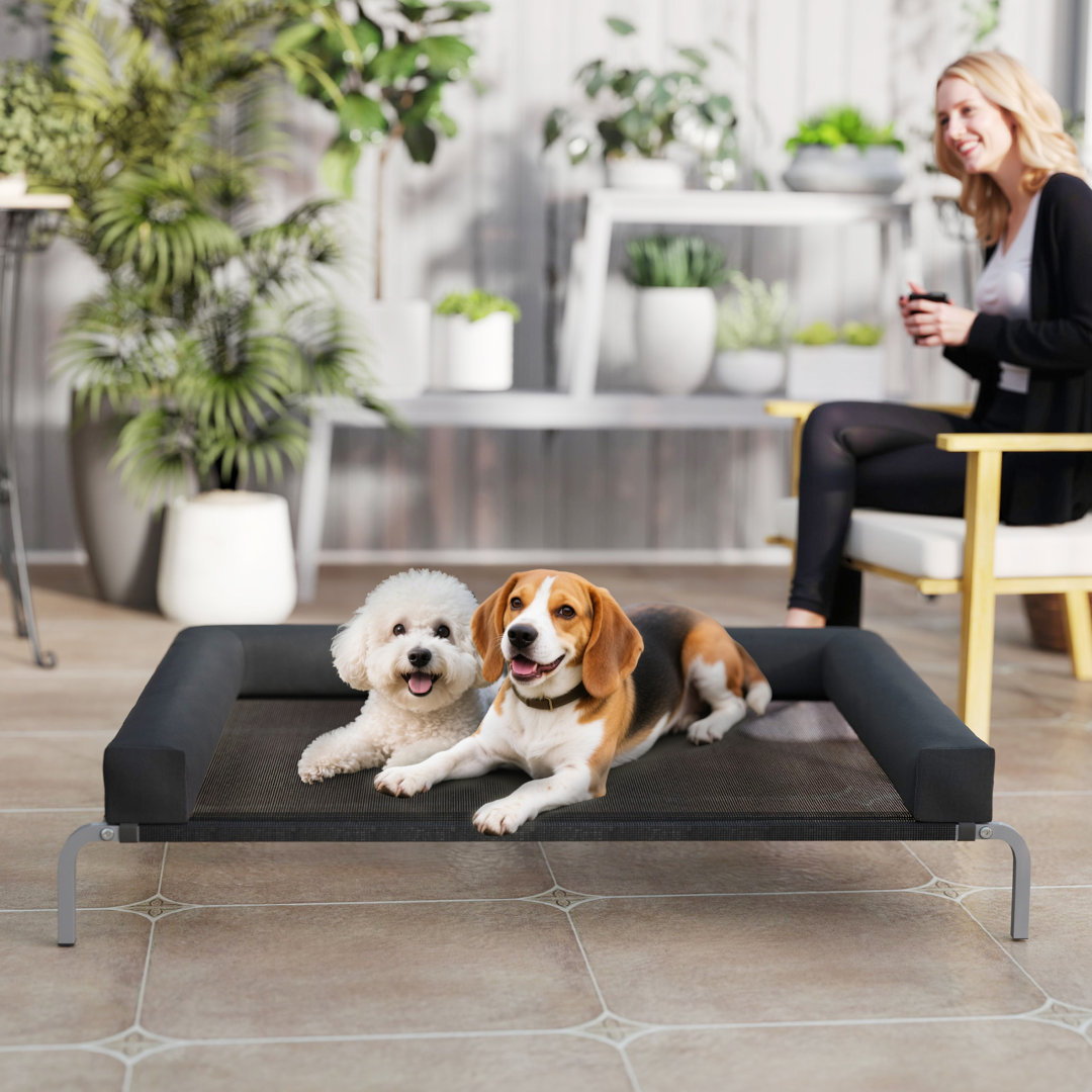 Elevated Dog Bed