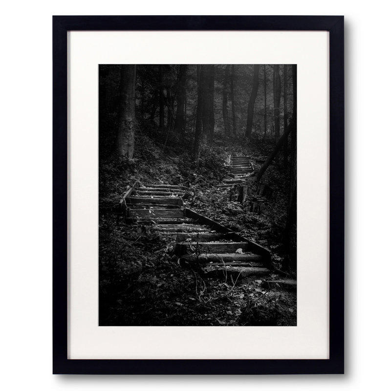Forest Stairs Print, Black Framed Paper, 21.25" H x 17.25" W
