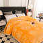 Couverture Alexiona