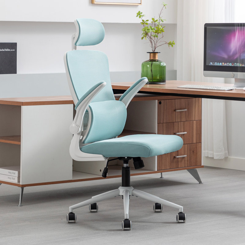 Tunney Ergonomic Height-Adjustable Mesh Office Chair with Headrest, Green