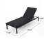 Ensemble de 2 chaises longues de patio