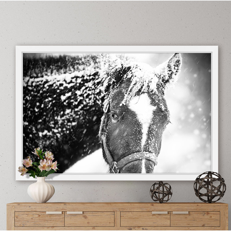 Cadre photo « white cheval mask », impression sur papier, 20 po x 30 p, Cadre blanc