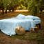 Sheet Set-574121725-574121724
