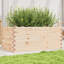 2 Wood Planter-100491928-100491931