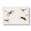 Four Dragonflies by Morimoto Toko - Wrapped Canvas-55311794