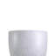 Fibreglass Plant Pot-39260670-39260877
