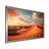 Silver Single Picture Framed