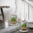 Glass Tabletop Lantern-86704585-86704583