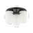 Rudaigh Glass Flush Mount-66595410