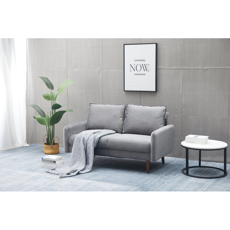 Abdur-Rasheed 58'' Velvet Loveseat, Grey Velvet