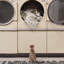 Phoebe Machine WashableGeometric Area Rug in Cream/Dark Slate-734777049