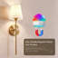 Appliques murales à piles (ampoules incluses), lampes murales rechargeables avec ampoules à distance à intensité variable détachables, 12 lumières murales sans fil à 3 couleurs RVB et 3 températures de couleur