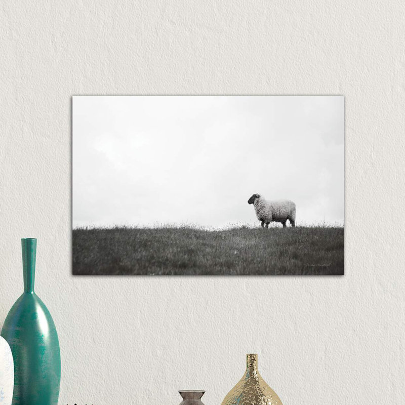 Photographie « islay ovin ii », H 8 po x l 12 po x P 0,75 po, Toile tendue
