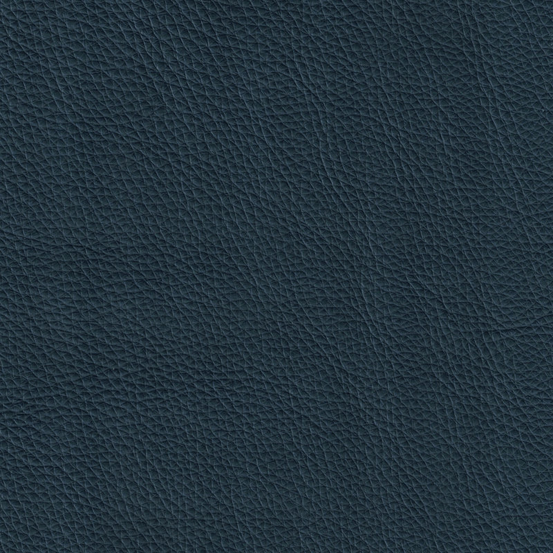 Fauteuil en cuir Donelson, Marine