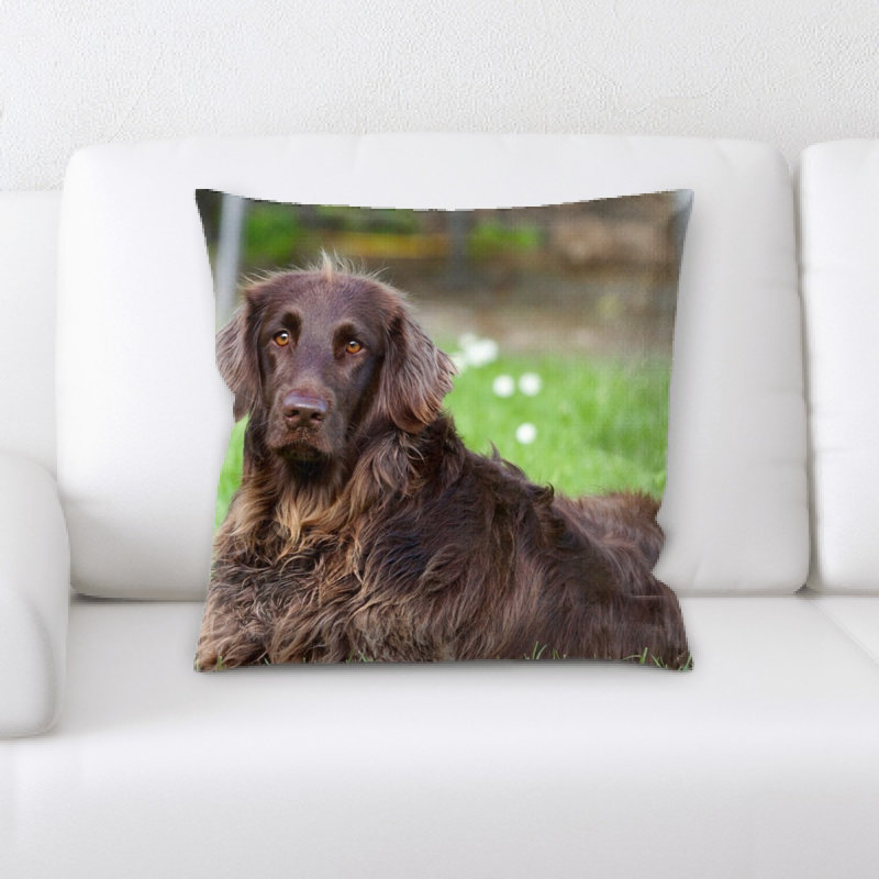 Coussin pour chien
