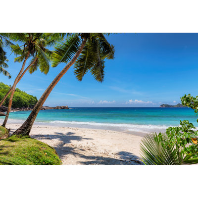 Palms on Tropical Beach par Lucky - Photographie sur toile tendue