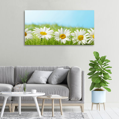 Daisies - No Frame Print on Canvas