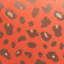 Square Pillow Cover & Insert