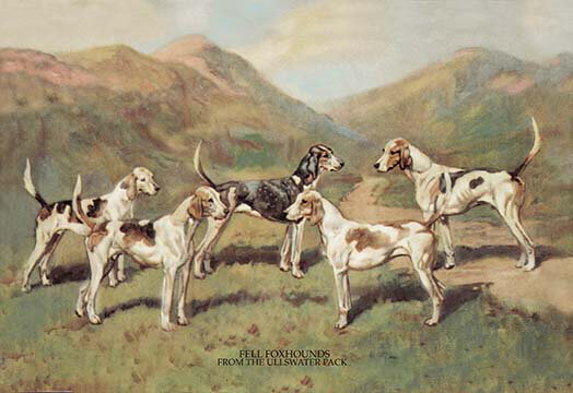 « foxhoundss » par t. ivester llyod, reproduction d’art, H 28 po x l 42 po x P 1,5 po