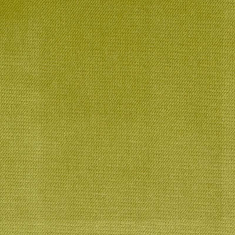 Velours de satin de coton Belvedere-Byron, Herbe