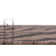 Natural Tsavo Indoor/Outdoor Safari Rug