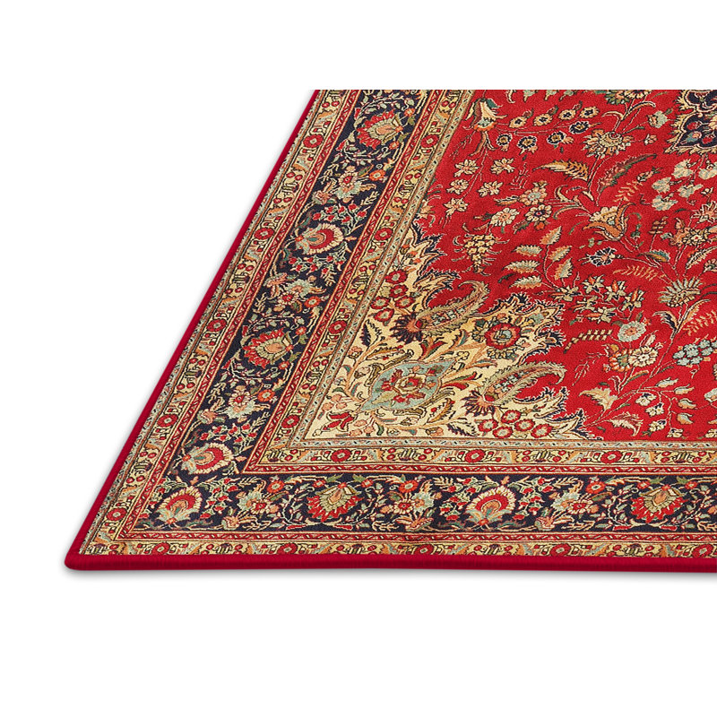 Dezra Oriental Indoor Rug, Rectangle 4' x 6'