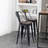 Burney Counter Stool-5982472-5982479