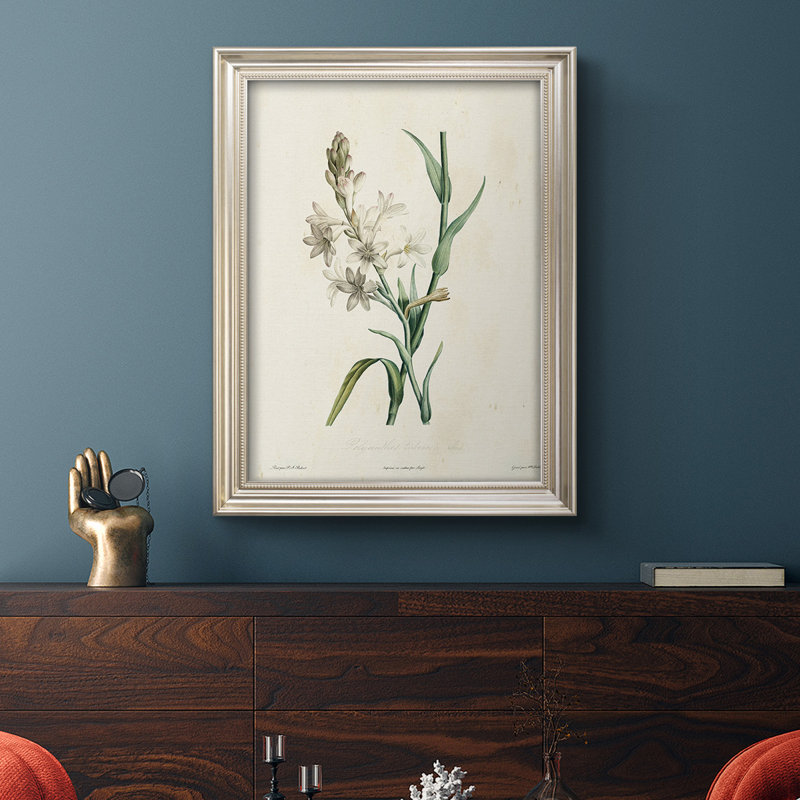 Traditional Botanical - reproduction de cadre photo sur toile, L 21 po x H 25 po