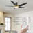52'' Ceiling Fan with LED Lights-45063280