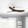 Obsidian Ceiling Fan