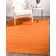Aiden-Lee Indoor Rug