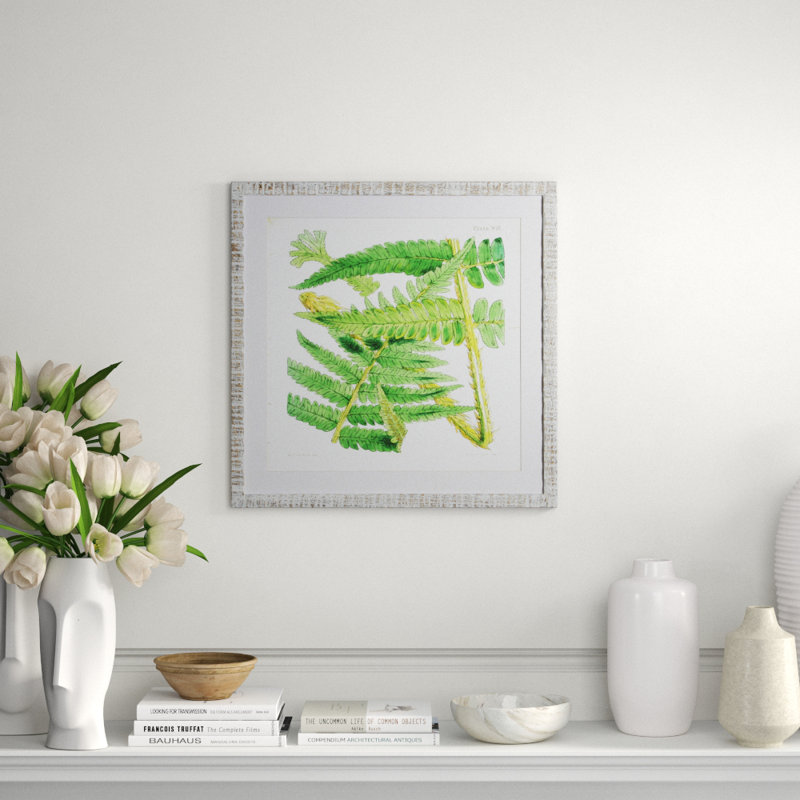Brilliant Fern IV Print