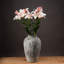 Anastasija Arrangement