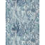 Acropora Wallpaper-61669945