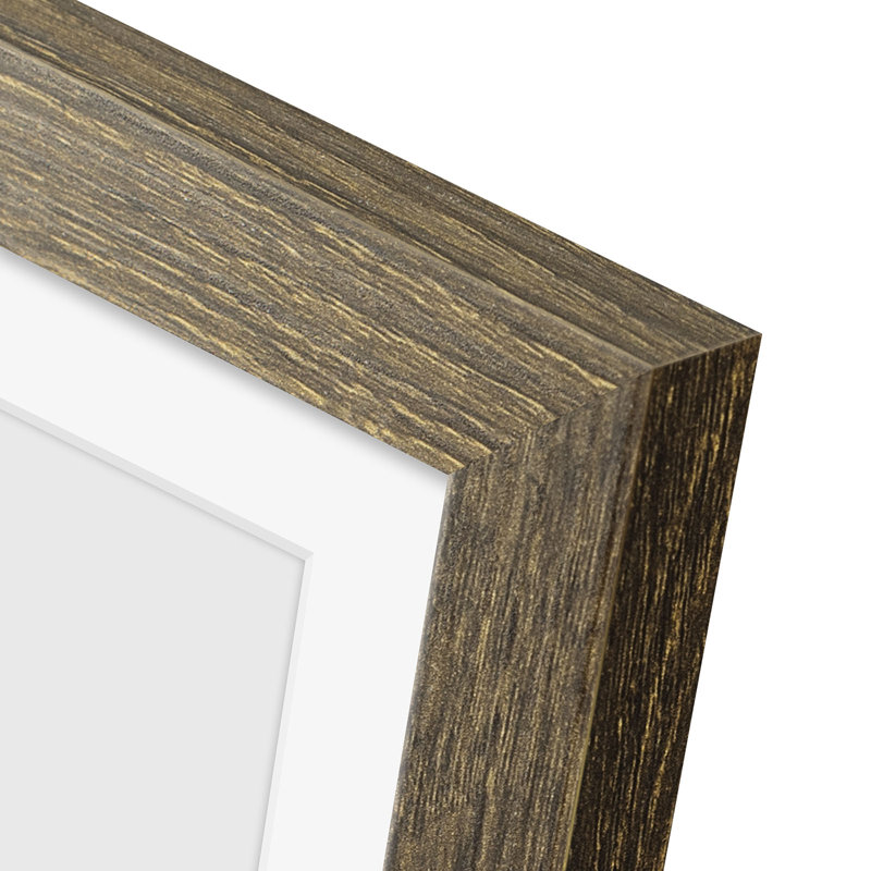 Gallery Frames, With Mat & Plexiglass, Wall/Tabletop Display, 8" W x 10" H, Brown