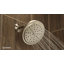 Fina Premium 2.5 GPM Rain Shower Head-1077767915